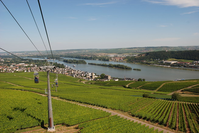 Rhein148.JPG