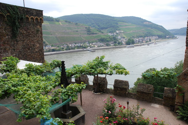 Rhein161.JPG